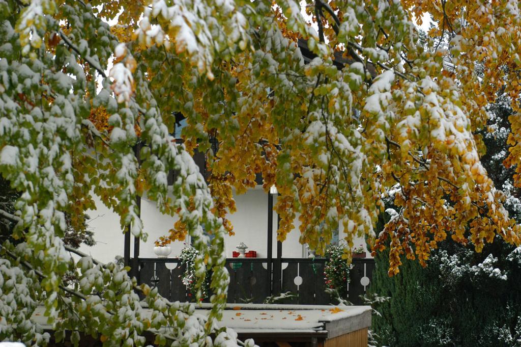 Landhaus Alpenblick Apartment Garmisch-Partenkirchen Exterior foto